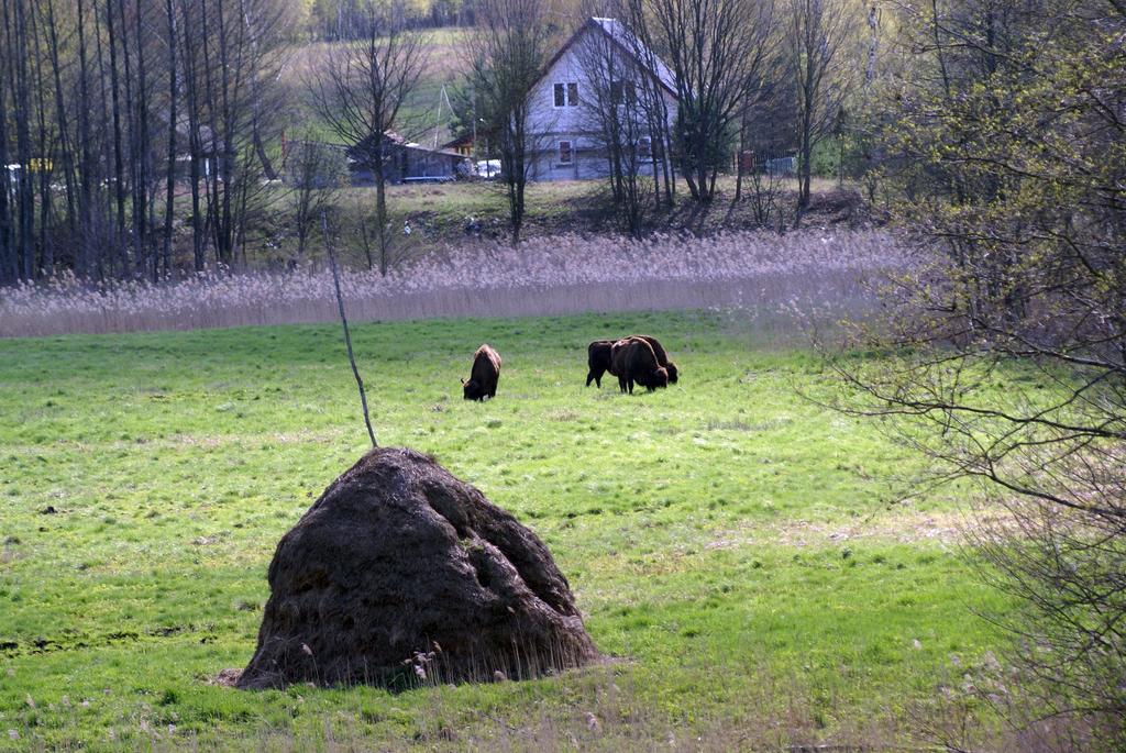 Bojarski Gosciniec Narewka Exterior photo